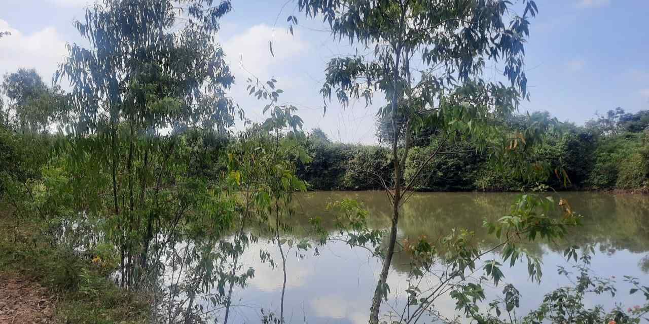 Chikka Thimmasandra Lake