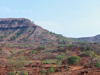 The Satna Project - Afforestation