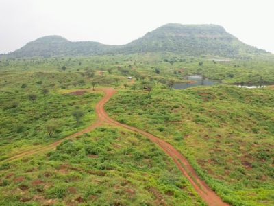 The Shivgarh Project - Afforestation