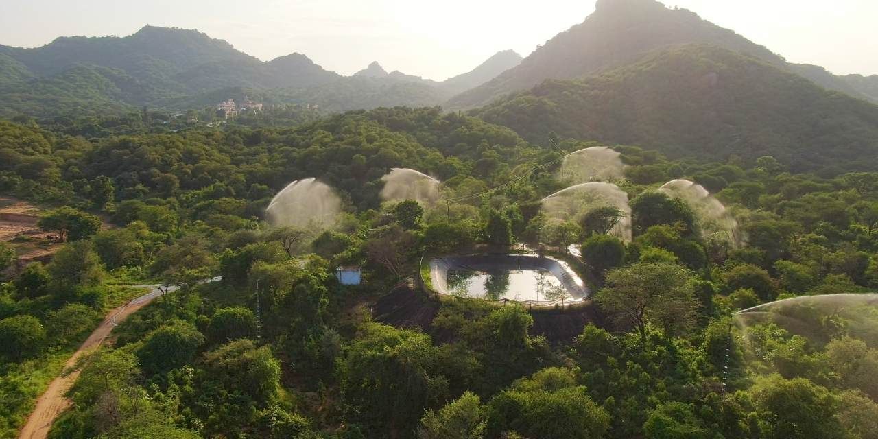 Taranga Hills